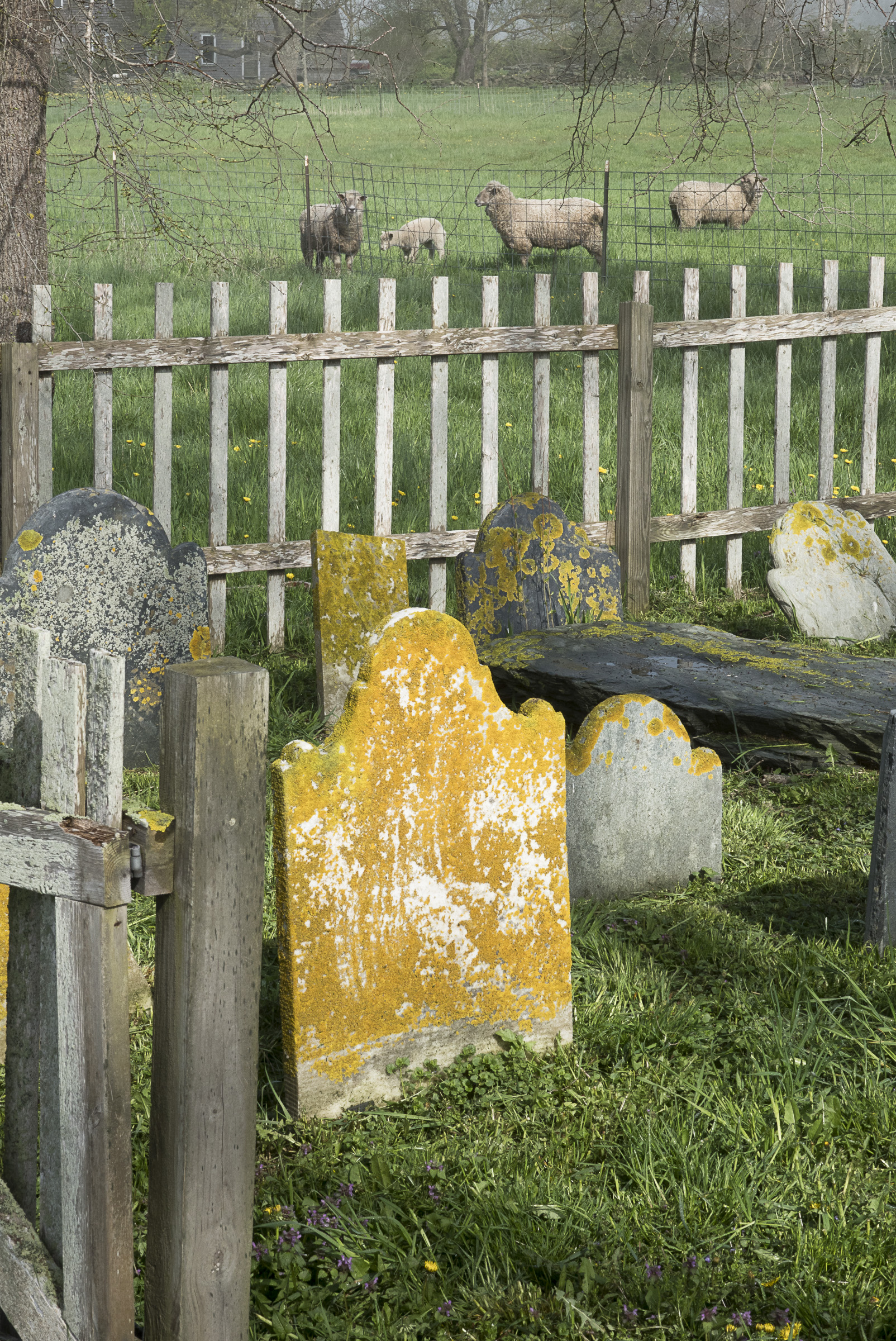 Cemetery Tour September 22 Little Compton Historical Society